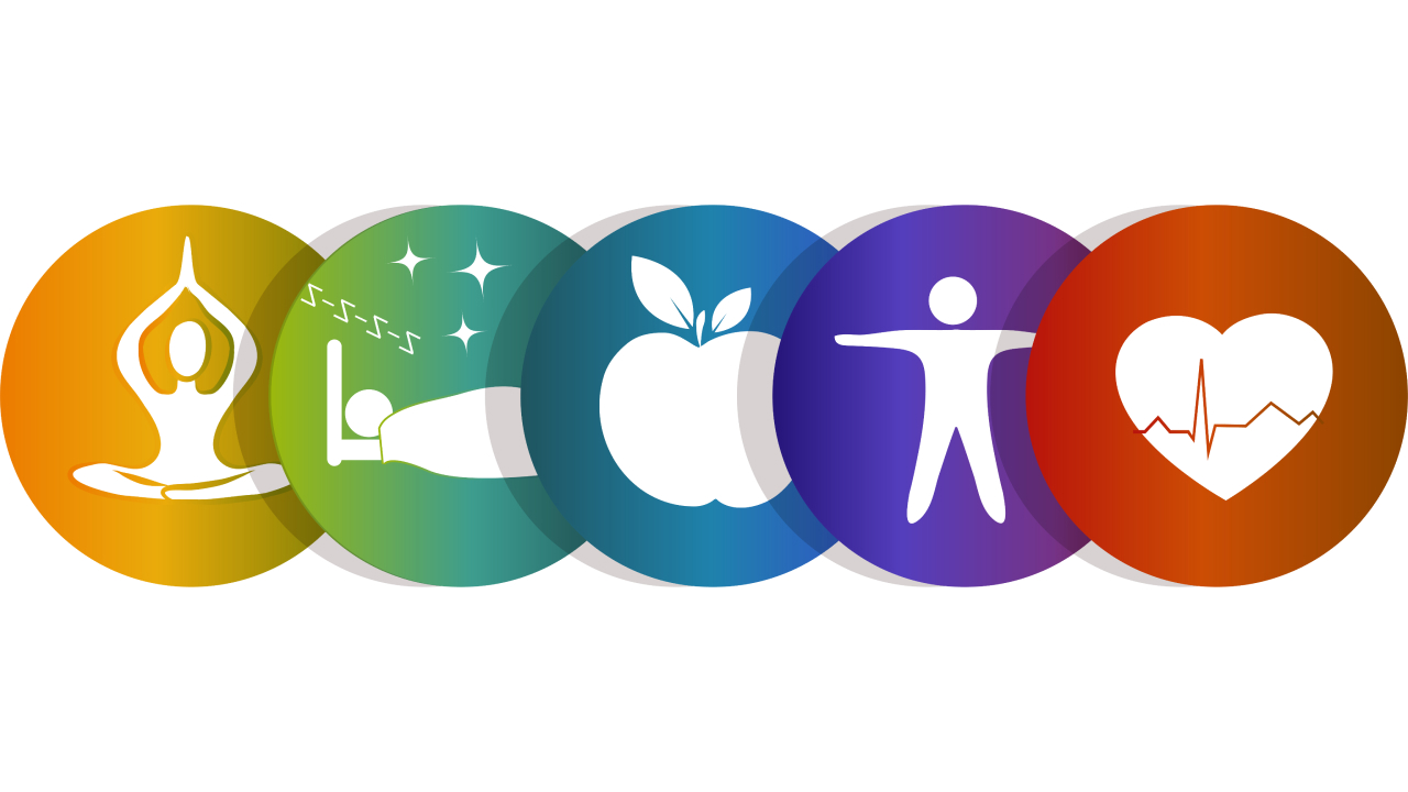 Develop Back Better: Our Plan for Health And Wellness and Social Treatment